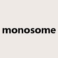 monosome是什么意思