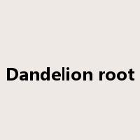 Dandelion root是什么意思