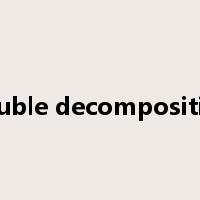 double decomposition是什么意思