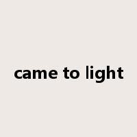 came to light是什么意思