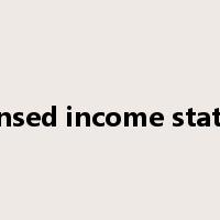 condensed income statement是什么意思