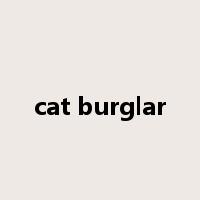 cat burglar是什么意思
