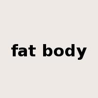 fat body是什么意思