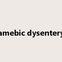 amebic dysentery是什么意思