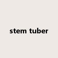 stem tuber是什么意思