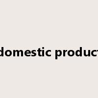 domestic product是什么意思