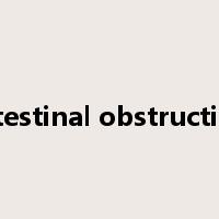 intestinal obstruction是什么意思