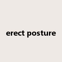 erect posture是什么意思