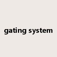 gating system是什么意思