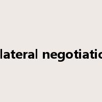 bilateral negotiation是什么意思