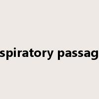 respiratory passages是什么意思