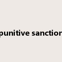 punitive sanction是什么意思