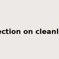 inspection on cleanliness是什么意思