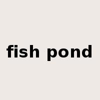 fish pond是什么意思