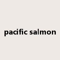 pacific salmon是什么意思