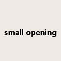 small opening是什么意思