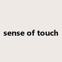 sense of touch是什么意思