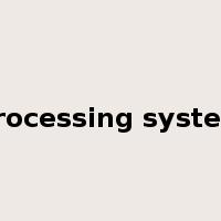 processing system是什么意思