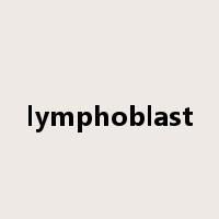 lymphoblast是什么意思