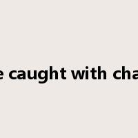 be caught with chaff是什么意思