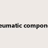 pneumatic component是什么意思
