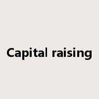 Capital raising是什么意思