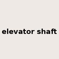 elevator shaft是什么意思