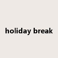 holiday break是什么意思