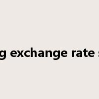 floating exchange rate system是什么意思