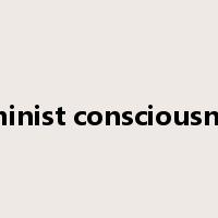 feminist consciousness是什么意思