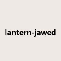 lantern-jawed是什么意思