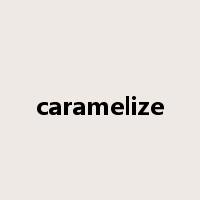 caramelize是什么意思