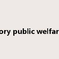 Statutory public welfare fund是什么意思