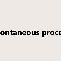 spontaneous process是什么意思