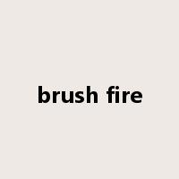 brush fire是什么意思