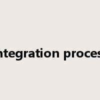 integration process是什么意思