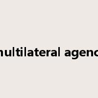 multilateral agency是什么意思