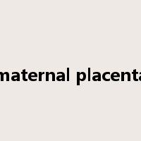 maternal placenta是什么意思