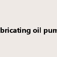 lubricating oil pump是什么意思
