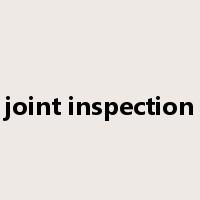 joint inspection是什么意思