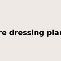 ore dressing plant是什么意思
