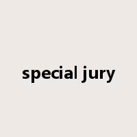 special jury是什么意思
