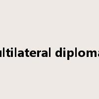 multilateral diplomacy是什么意思