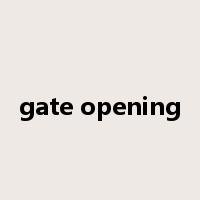 gate opening是什么意思