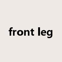 front leg是什么意思