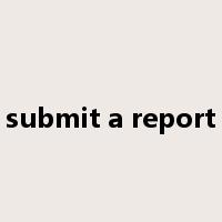 submit a report是什么意思