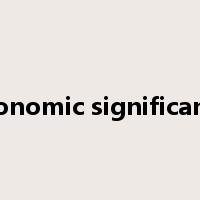 economic significance是什么意思