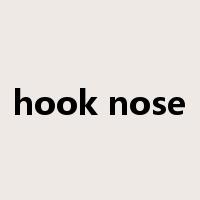 hook nose是什么意思
