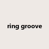 ring groove是什么意思