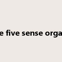the five sense organs是什么意思